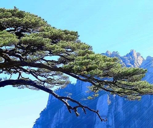粉象生活直播下架
