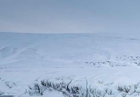 粉象生活是怎么赚钱的