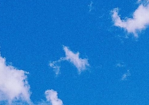 粉象生活邀请码