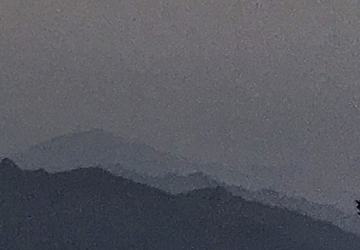 粉象生活陷阱