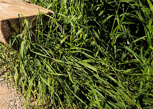 粉象生活下载app