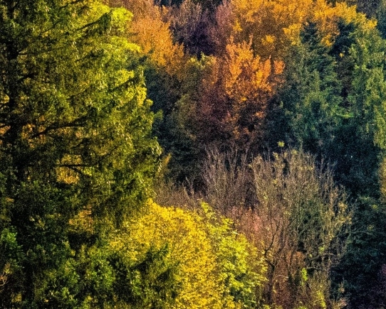 粉象生活里怎么分享赚钱