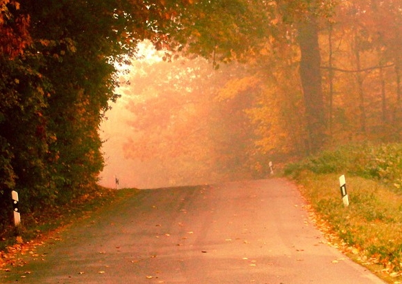 粉象生活与外卖