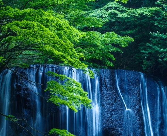 代理粉象生活