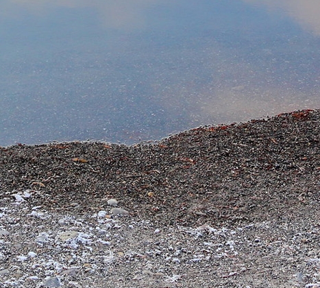 粉象生活是怎么赚钱的