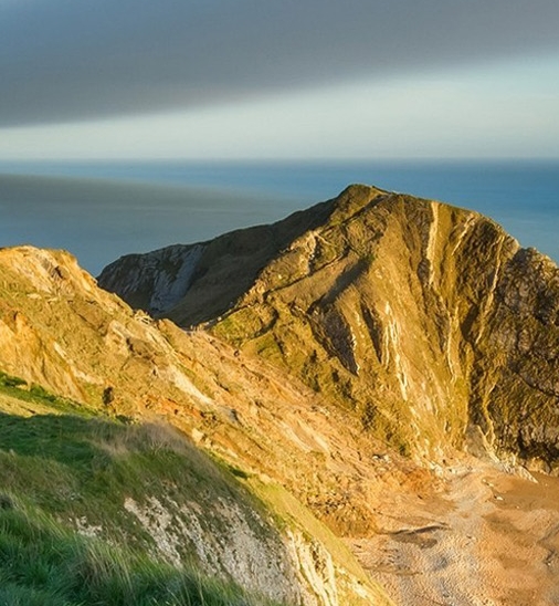 粉象生活拉会员
