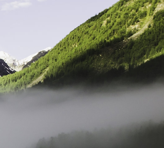 粉象生活第一个是怎么注册的