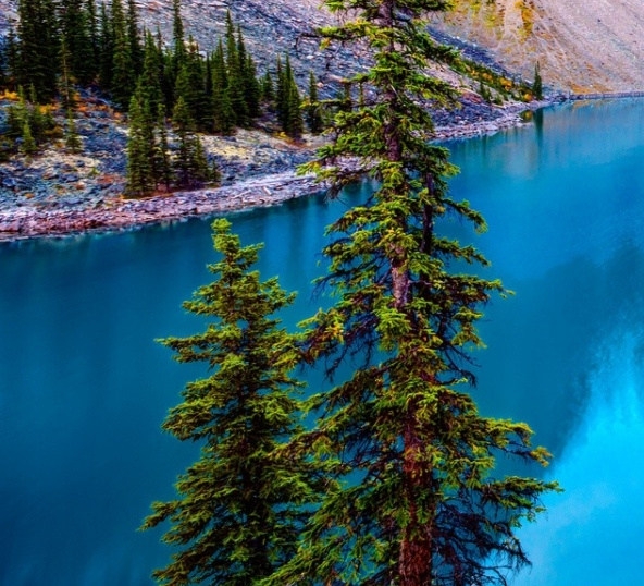 粉象生活邀请码