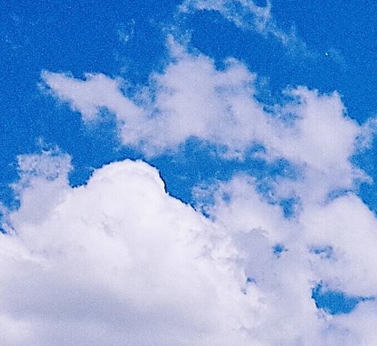 粉象生活怎么用淘宝