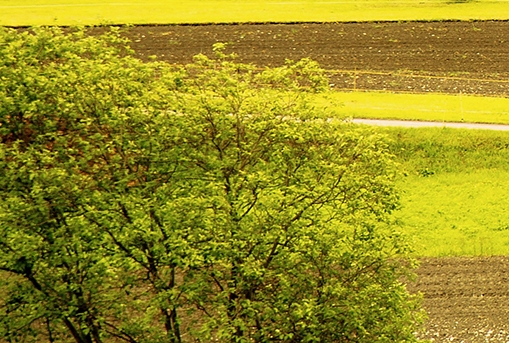 粉象生活可以赚钱吗
