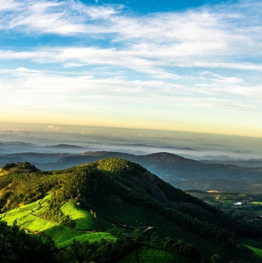 粉象生活招聘广告语
