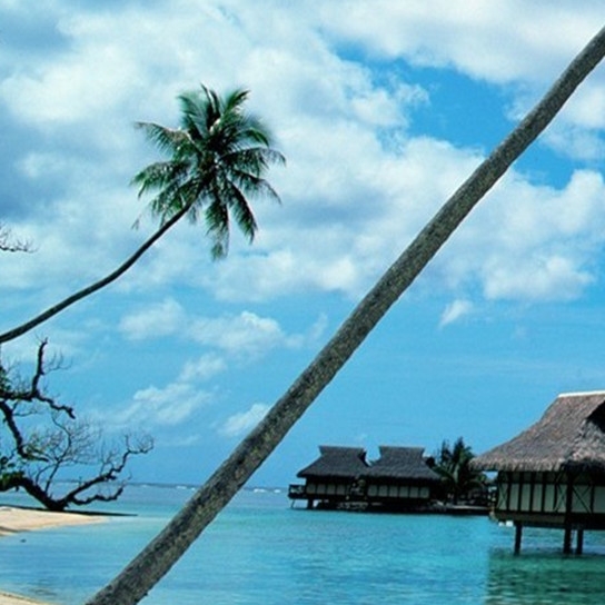 粉象生活官网app下载