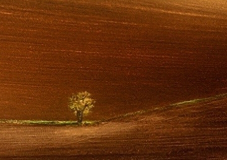 粉象生活能挣钱吗