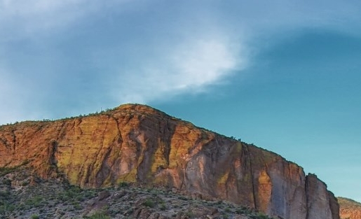 粉象生活的活动规则