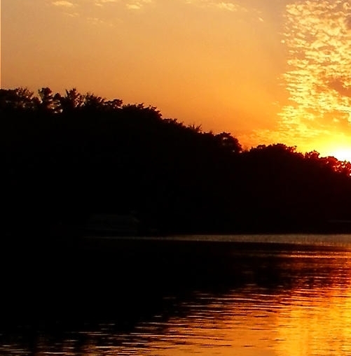 粉象生活如何添加店员