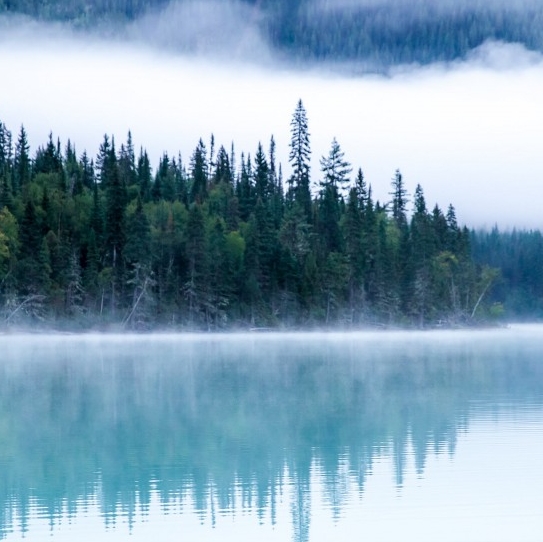 山东爱生活app下载