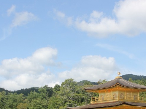 珠海粉象生活赚钱