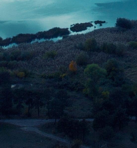 粉象生活享受几级代理佣金