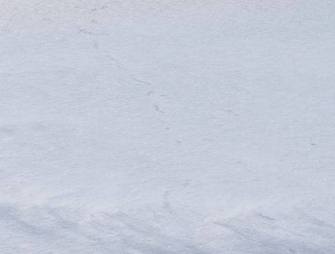 粉象生活邀请码