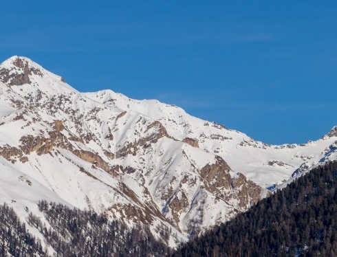 山东粉象生活下载
