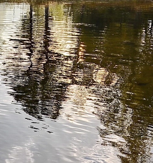 菏泽粉象生活代理是什么