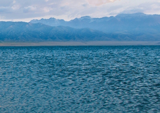 粉象生活如何找到买家