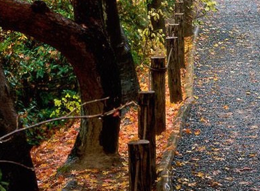 粉象生活真实收入