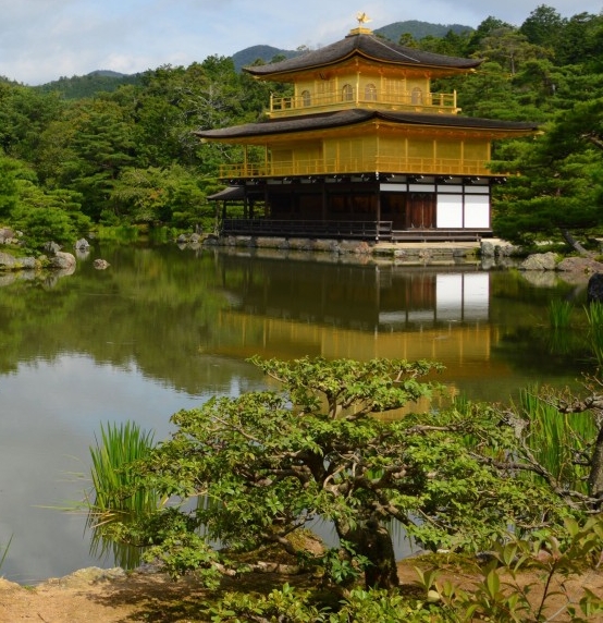 粉象生活赚钱看视频答案