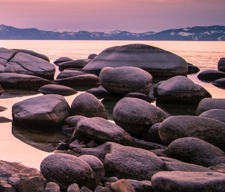 粉象生活是干什么的