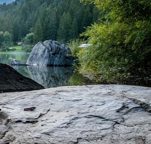 粉象生活下载app