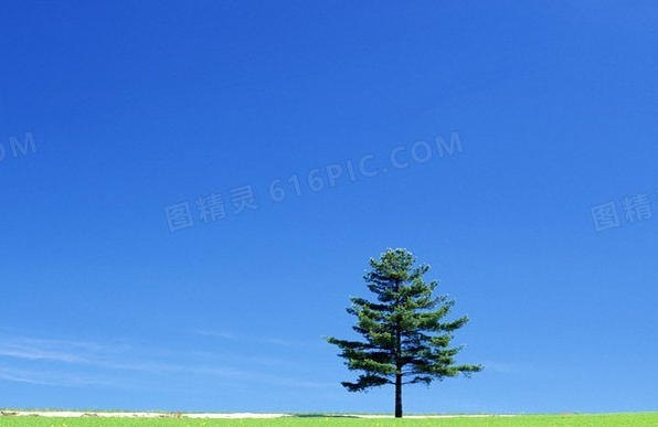 粉象生活抢购活动