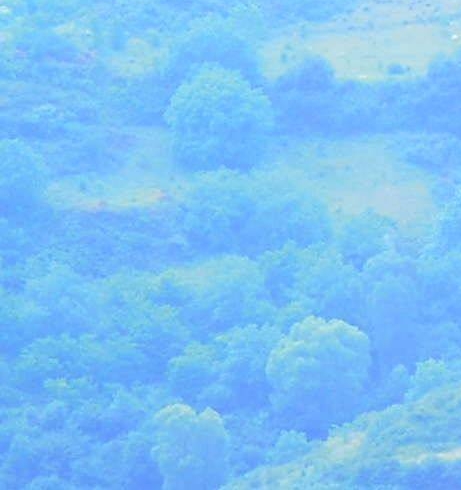 粉象生活对接后台