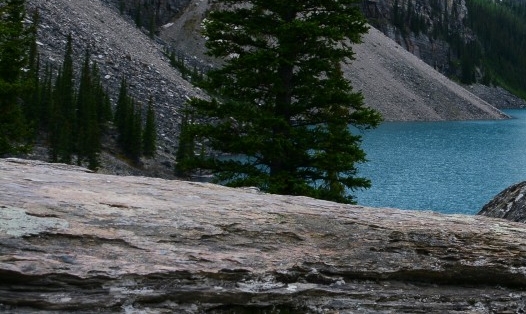 粉象生活拉一个人赚多少钱