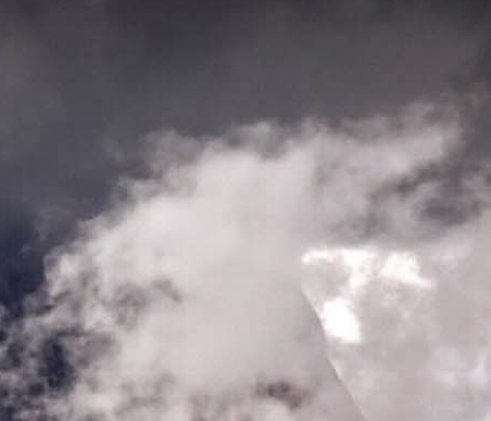 粉象生活高层