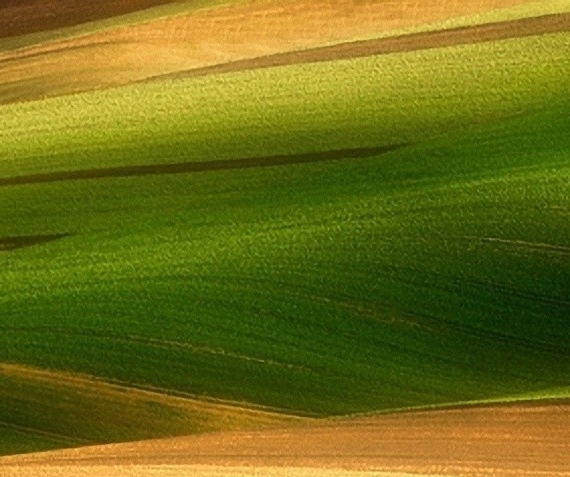 粉象生活可以分享到哪些网站