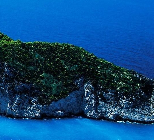 粉象生活可以赚钱吗