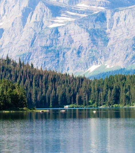 粉象生活邀请码