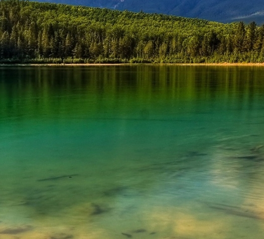 粉象生活领现金真的吗