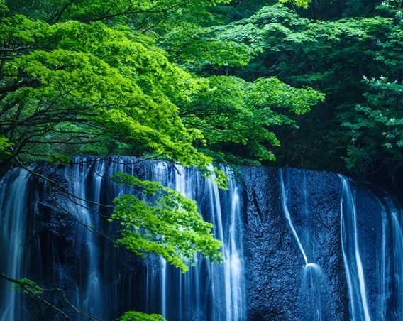 粉象生活粉丝怎么增加