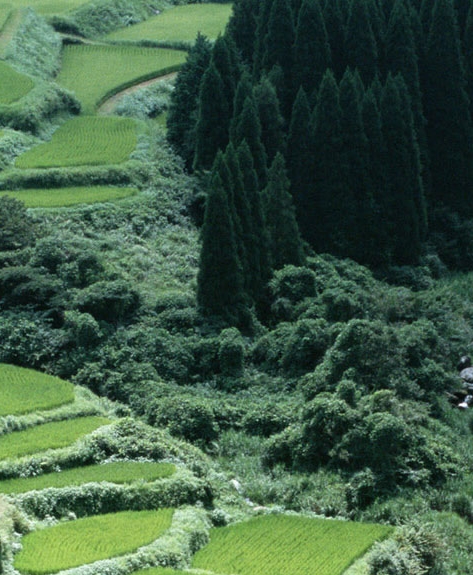 粉象生活客服经理