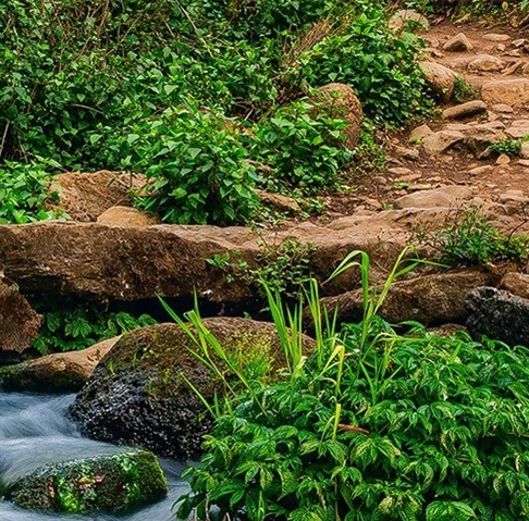 粉象生活推广人什么意思