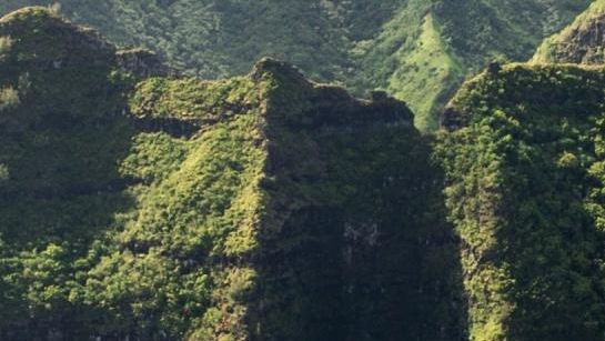 粉象生活的合伙人怎么开通