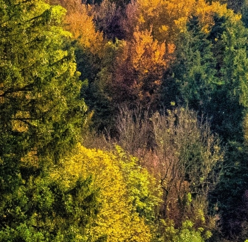 粉象生活分享赚钱方式