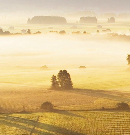 粉象生活推荐id怎么填粉象生活