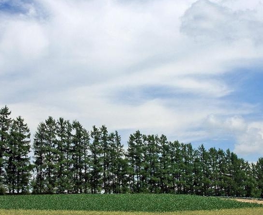 粉象生活可以赚钱吗