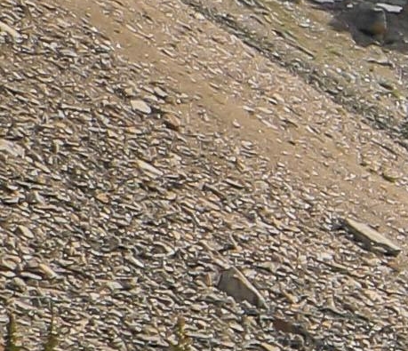 粉象生活是怎么赚钱的