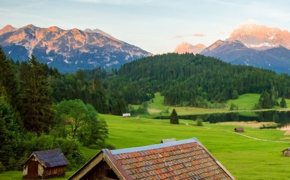粉象生活的收益在哪里