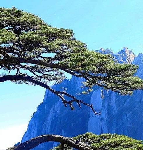 粉象生活是怎么赚钱的