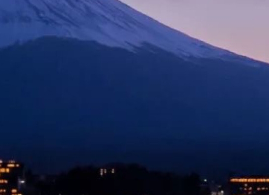 肇庆粉象生活赚钱