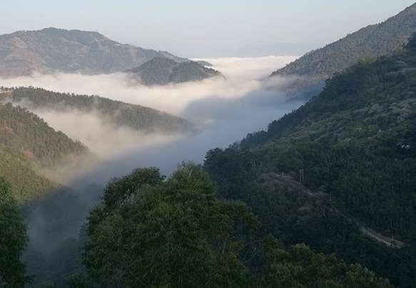 粉象生活可以赚钱吗